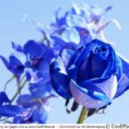 /album/galleria-foto-homepage3/a557232-369711413111841-561670771-n-jpg/
