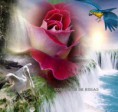 /album/galleria-foto-homepage3/a936176-352276738229226-218779888-n-jpg/