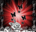 /album/galleria-foto-homepage4/a721190140-1819197-gif/