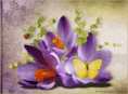 /album/galleria-foto-homepage4/crochi-gif/