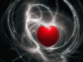 /album/galleria-foto-homepage4/he296-gif/