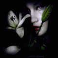 /album/galleria-foto-homepage4/img218614-perigosa-gif/