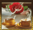 /album/galleria-foto-homepage4/qoqjgrouxxtzljnprxcy-gif/