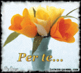 /album/galleria-foto-homepage4/rp-ita-byoriza-fiore3-gif/